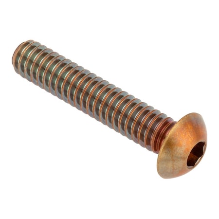 Zoro Select 1/4"-20 Socket Head Cap Screw, Button, Plain Brass, 1-1/4 in Length ZSB55014C20