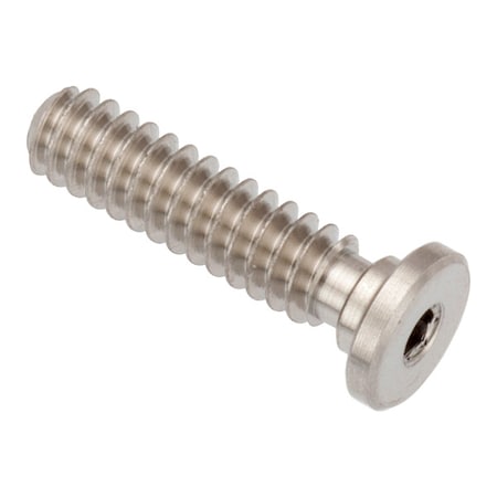 Zoro Select #6-32 Socket Head Cap Screw, Socket, Plain 316 Stainless Steel, 1/2 in Length ZUL60206F08