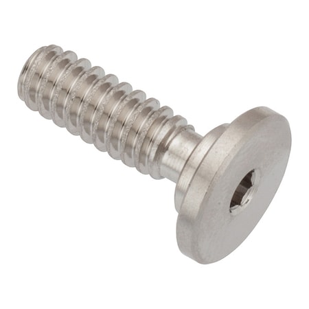 Zoro Select #10-24 Socket Head Cap Screw, Socket, Plain 316 Stainless Steel, 1/2 in Length ZUL60210C08