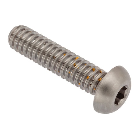 Zoro Select 1/4"-20 x 1 in Button, Plain 18-8 Stainless Steel ZBM393LH