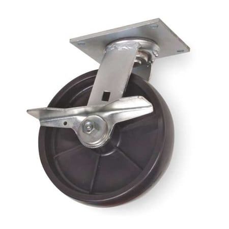 Zoro Select Swivel Plate Caster, Poly, 8 in., 1000 lb. 1NVP5
