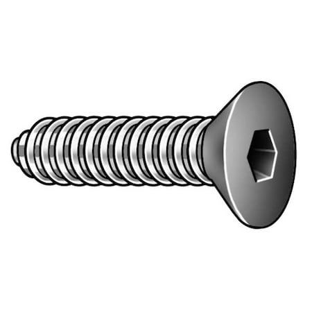 Zoro Select 1/4"-28 Socket Head Cap Screw, Flat, Zinc Plated Alloy Steel, 5/16 in Length, 25 PK 1TLA8