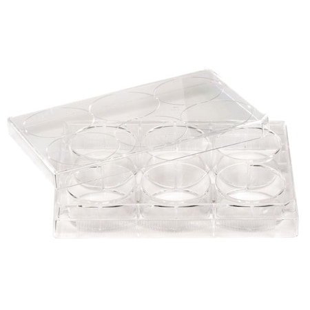 Celltreat Non-Treated Plate, 6 Well, PK100 229506
