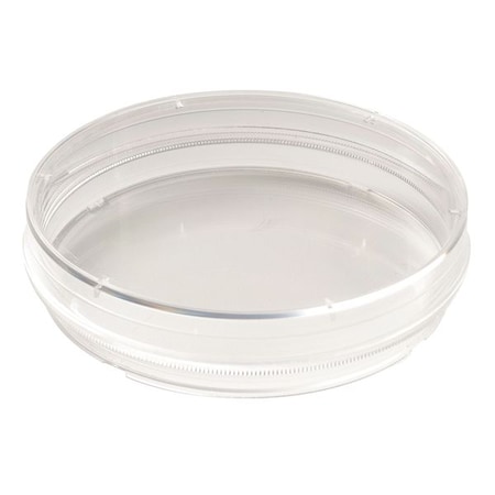 Zoro Select 100x20mm TC Treated Dish w/Grip, PK300 (Formerly Lab Safety Supply) 11L824