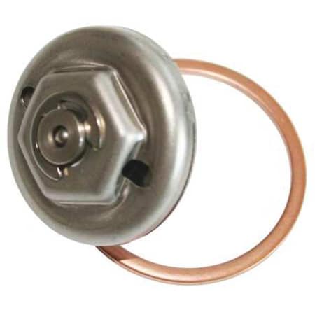 Bell & Gossett Replacement Module For Steam Trap 600056