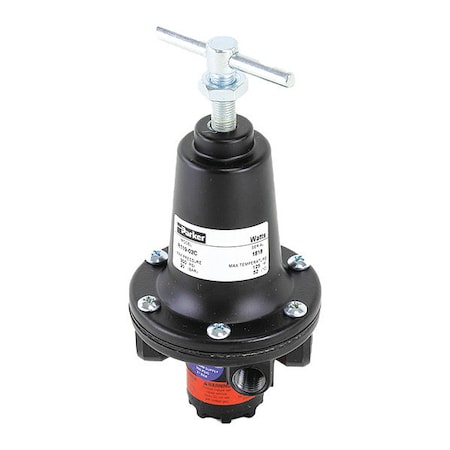 Watts Regulator, 1/4", 0 to 125 psi, Out Steam R119-02CG