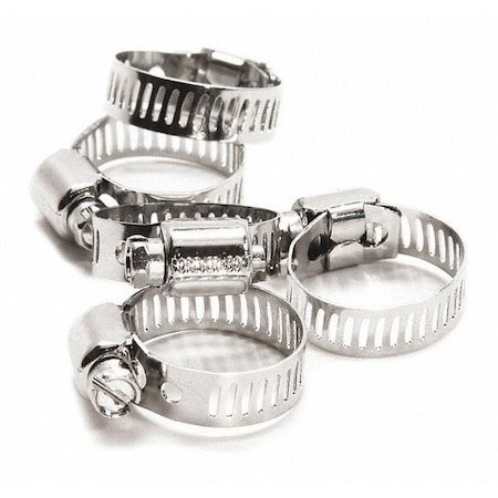 Foreverbolt Micro S/S, Hose Clamp, w/ NL-19, No 6, PK5 FBMHCLP6P5