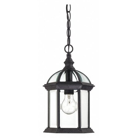 Nuvo Boxwood 1-Light 14 in. Outdoor Hanging with Clear Beveled Glass 60-4979