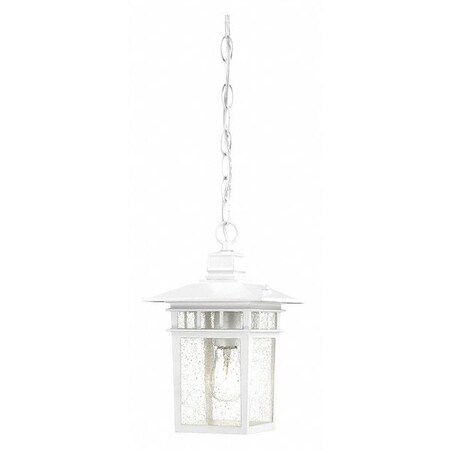 Nuvo Cove Neck 1-Light 12 in. Outdoor Hang with Clear Seed Glass 60-4954