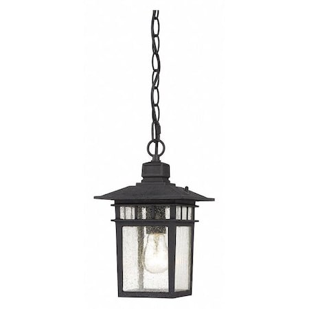 Nuvo Cove Neck 1-Light 12 in. Outdoor Hang with Clear Seed Glass 60-4956