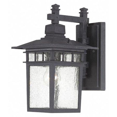 Nuvo Cove Neck 1-Light 14 in. Outdoor Lantern with Clear Seed Glass 60-4959