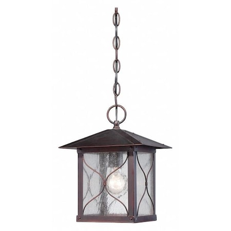 Nuvo Vega 1-Light Outdoor Hanging Fixture with Clear Seed Glass 60-5614