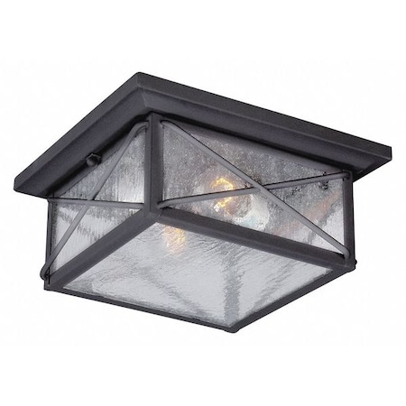 Nuvo Wingate 2-Light Outdoor Flush Fixture with Clear Seed Glass 60-5626