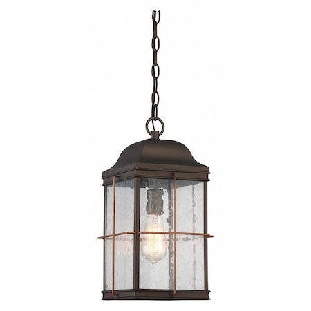 Nuvo Howell 1-Light Outdoor Hanging Lantern with 60W Vintage Lamp Included Bronze with Copper Accents 60-5836