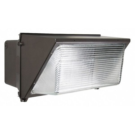 Nuvo Lighting Fixture, Outdoor Wall, 120W 65/059R1