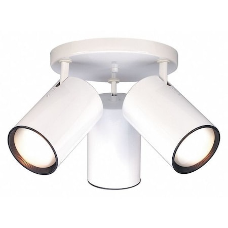 Nuvo Fixture, Flush, 3L, 50W, PAR30, Medium Base, 120V, White SF76/422