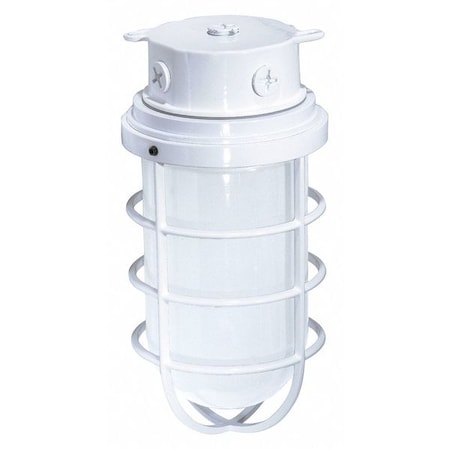 Nuvo 1-Light - 11in. - Industrial Style - Surface Mount with Frosted Glass - White Finish SF76-618