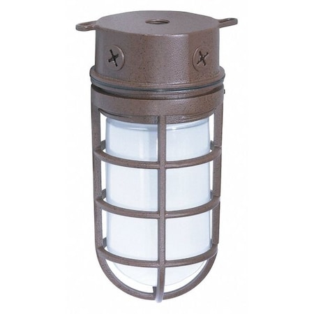 Nuvo 1-Light - 10in. - Industrial Style - Surface Mount with Frosted Glass - Old Bronze Finish SF76-625