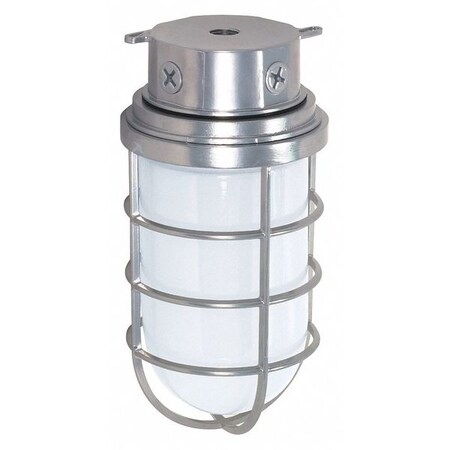 Nuvo 1-Light - 11in. - Industrial Style - Surface Mount with Frosted Glass - Metallic Silver Finish SF76-626