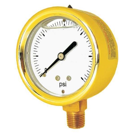 Pic Gauges Industrial Pressure Gauge, 0 to 600 psi, 2 1/2 in Dial, 1/4 in NPT, Bottom Location 601L-254K