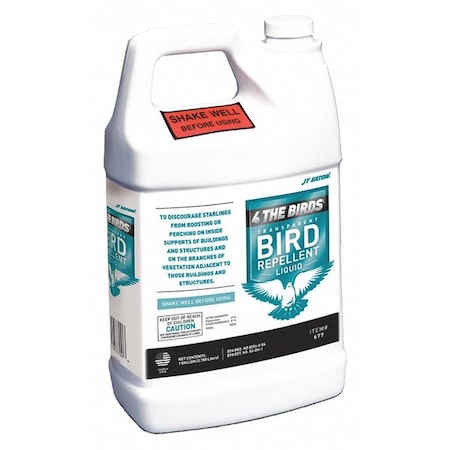 4 The Birds