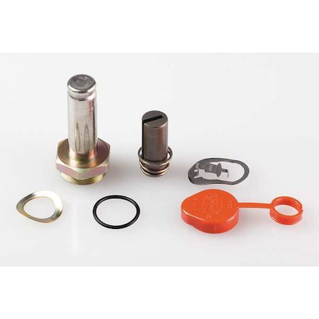 ASCO Valve Rebuild Kit, With Instructions 304354