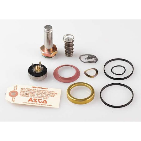 Asco Valve Rebuild Kit, With Instructions 310716