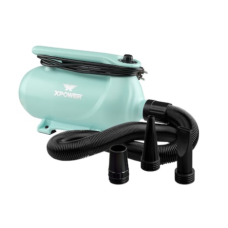 Xpower XPOWER B-163 High Velocity Variable Speed Double Motor Pet Dryer - Mint Green B-163-Mint-Green