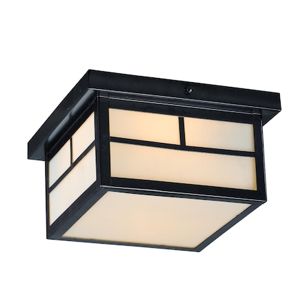 Cling 5 in. Coldwater 2-Light Outdoor Ceiling Mount, Black CL2961198