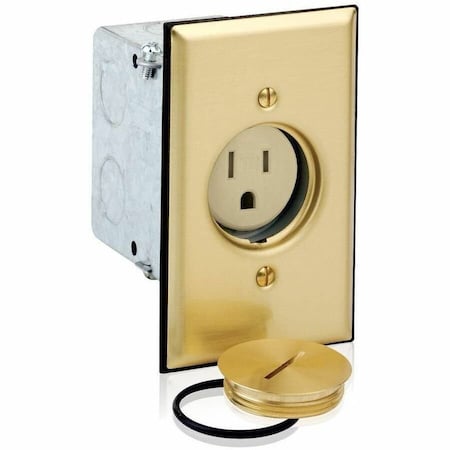 Leviton Plugs and Receptacles 5249-TFB