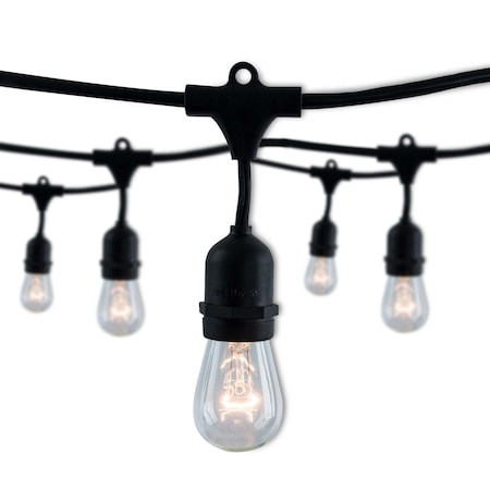 Bulbrite 14-foot String Light Kit with with Clear Vintage Style S14 Incandescent Light Bulbs, 2-pk 2700K 862816