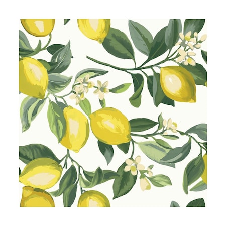 Roommates 20.5 in. W X 198 in. L Peel and Stick Wallpaper RMK11655WPZ