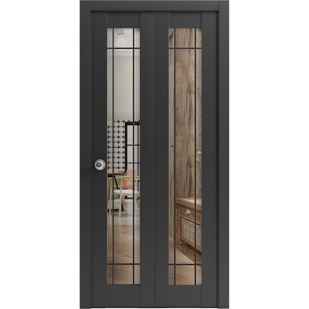 Sartodoors Sliding Closet Bi-fold Doors, Lucia 2266 Matte Black with Clear Glass and Aluminum Strips, Sturdy LUCIA2266BF-BLK-36 x 80 (2* 18x80)