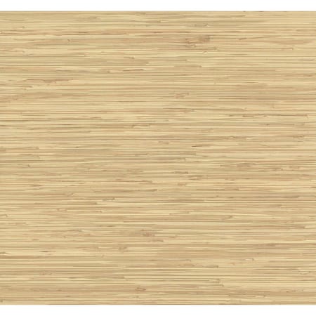 York Wallcoverings River Grass Beige Wallpaper NZ0787