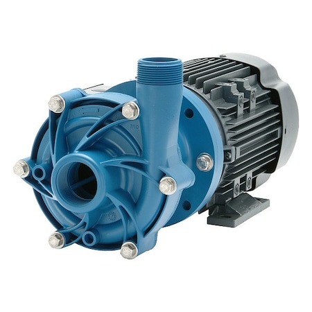 Finish Thompson Pump DB10P-B-M219