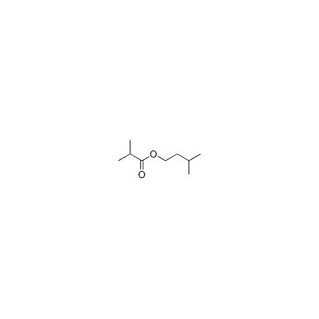 Ak Scientific Isoamyl isobutyrate (500g), CAS 2050-01-3 M579-500g