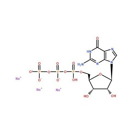 Ak Scientific Guanosine 5'-triphosphate trisodium salt (5g), CAS 36051-31-7 3710AH-5g