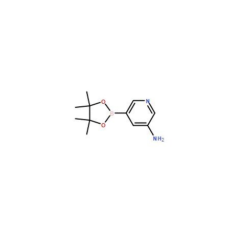 Ak Scientific 5-Aminopyridine-3-boronic acid pinacol ester (10g), CAS 1073354-99-0 X8835-10g