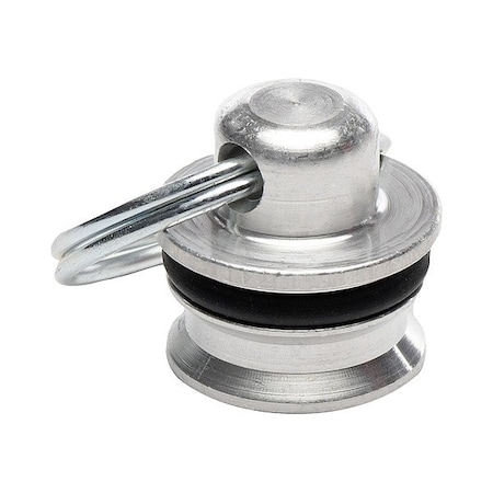 Parker Dust Plug H3-65