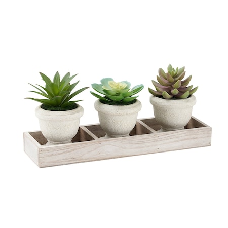 Monarch Specialties Artificial Plant, Set Of 3, 6-in. Tall, Succulent, Table, Beige Pots, Contemporary, Modern I 9373