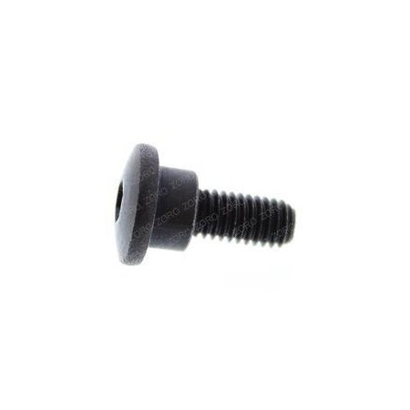 Raymond REPLACEMENT CENTER BOLT 1158583-001