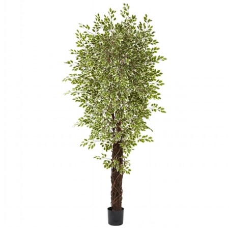 Dare2Decor 7.5 ft. Variegated Mini Ficus With 4131 Leaves DA420800