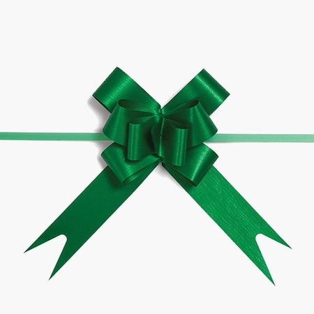 Nashville Wraps 4 Green Textured Poly Butterfly Pull Bows, 25PK 14TGR
