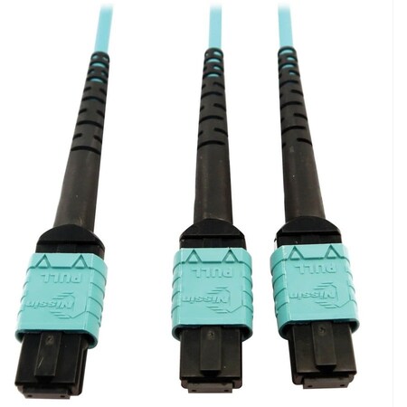 Eaton Tripp Lite Series 400G Multimode 50/125 OM4 Plenum Fiber Optic Cable, 24F MTP/MPO-PC to x2 12F N846D-05M-24BAQ