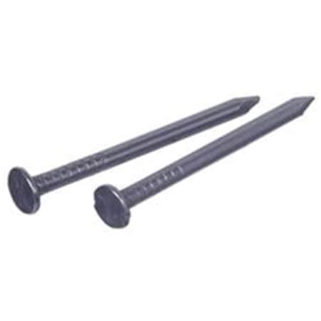 Acorn Mfg 8D Common Nail, 5 lbs CC8ZV