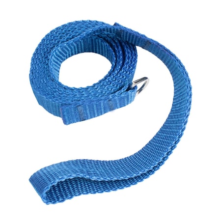 Generic Flat Dog Leads, Blue, 12PK 3261
