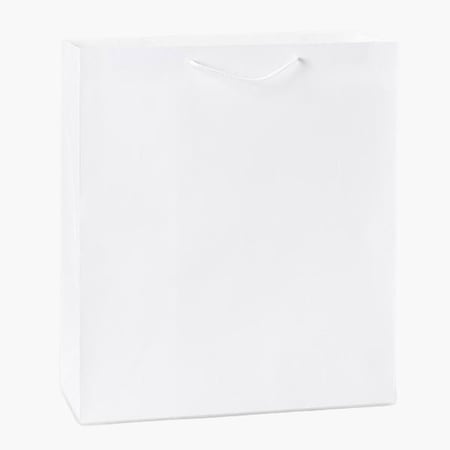 Nashville Wraps White Kraft Gift Bags, Queen 16x6x19, 100PK WTQBWH