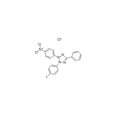 Ak Scientific Iodonitrotetrazolium chloride (250mg), CAS 146-68-9 X4394-250mg