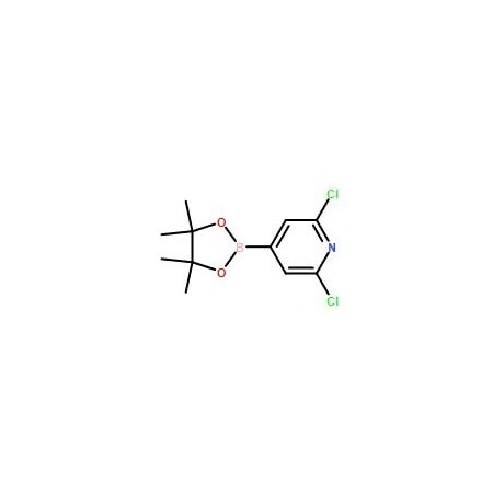 Ak Scientific 2, 6-Dichloropyridine-4-boronic acid pinacol ester (5g), CAS 408492-27-3 X0792-5g