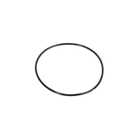 Case REPLACEMENT O-RING G10347